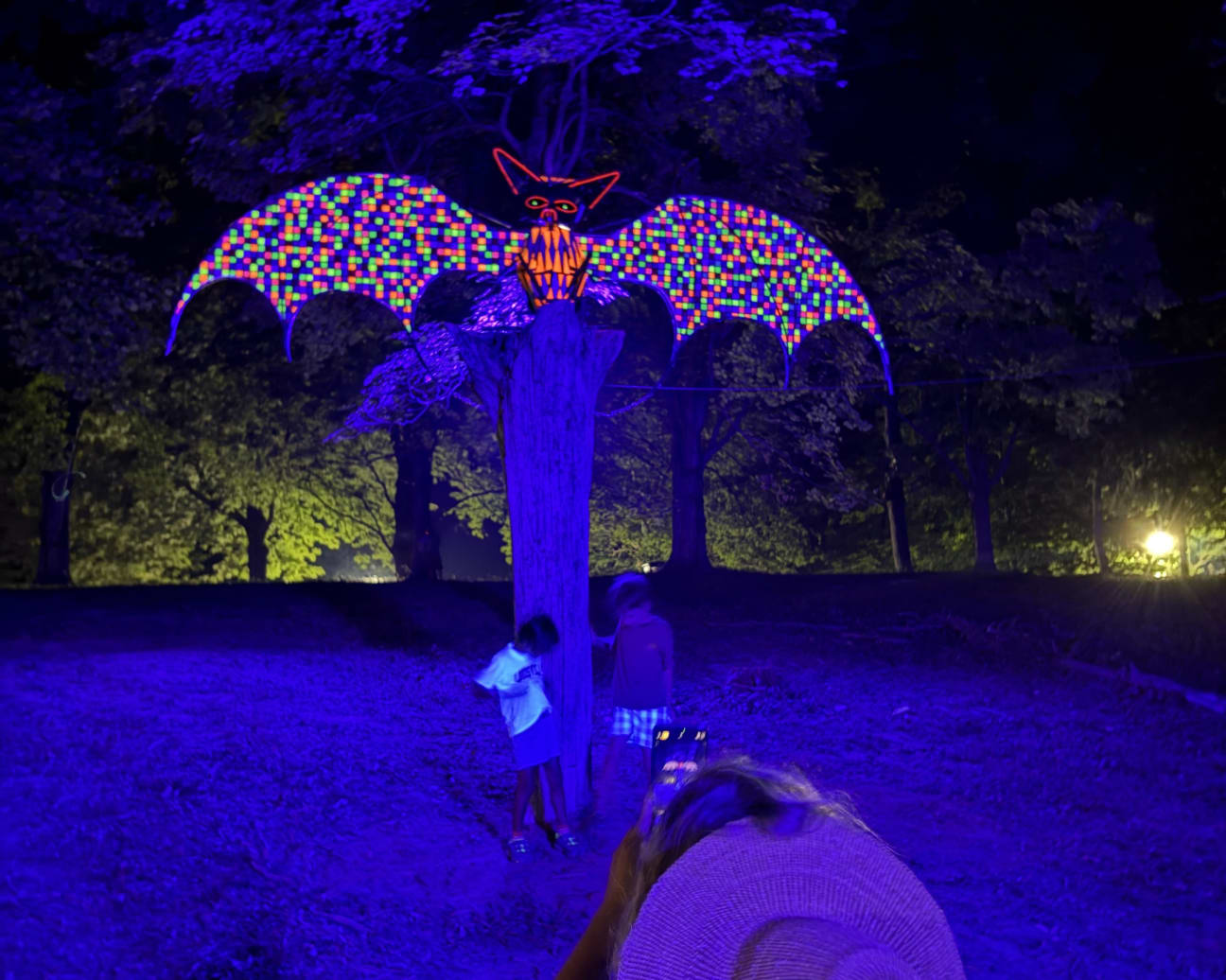 CONNECT 2025: Art That Transformed the Forest | Bernheim Forest