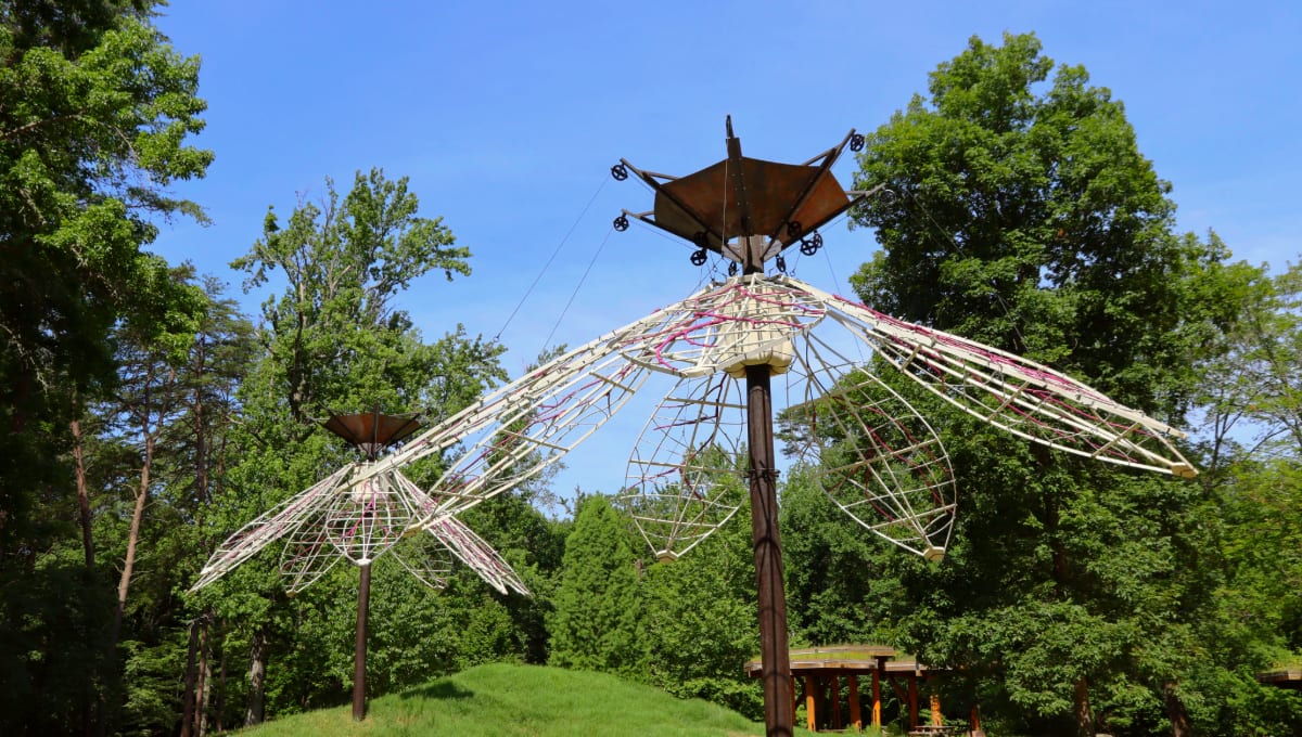 Explore L+A+N+D at Bernheim | Bernheim Forest and Arboretum