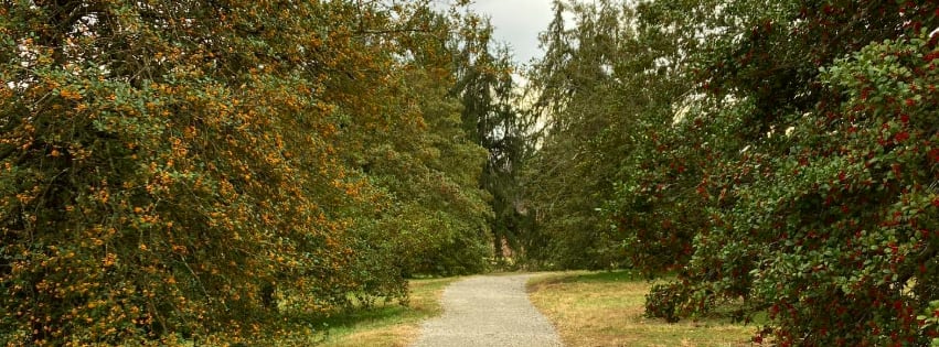Exploring Nature on a Midweek Nature Stroll | Bernheim Forest and Arboretum