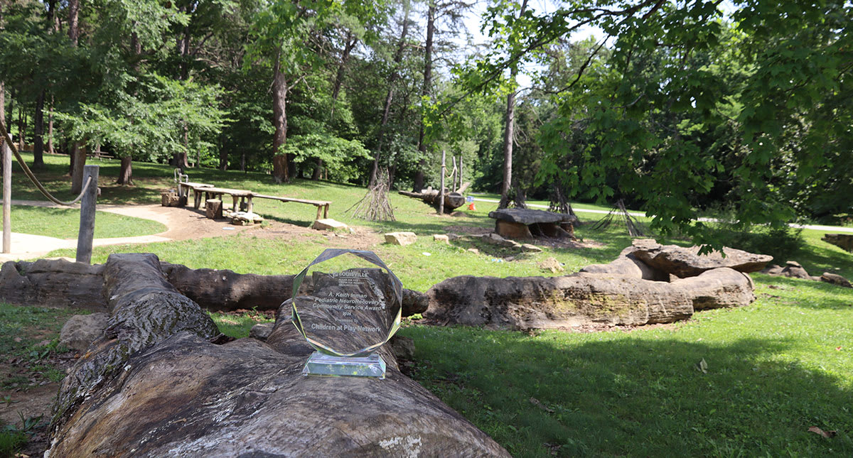 A. Keith Inman Pediatric NeuroRecovery Community Service Award ...