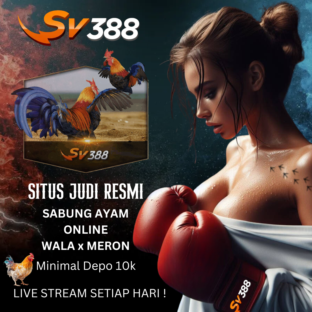 SV388 > Situs Bandar Sabung Ayam Resmi Taruhan Uang Asli