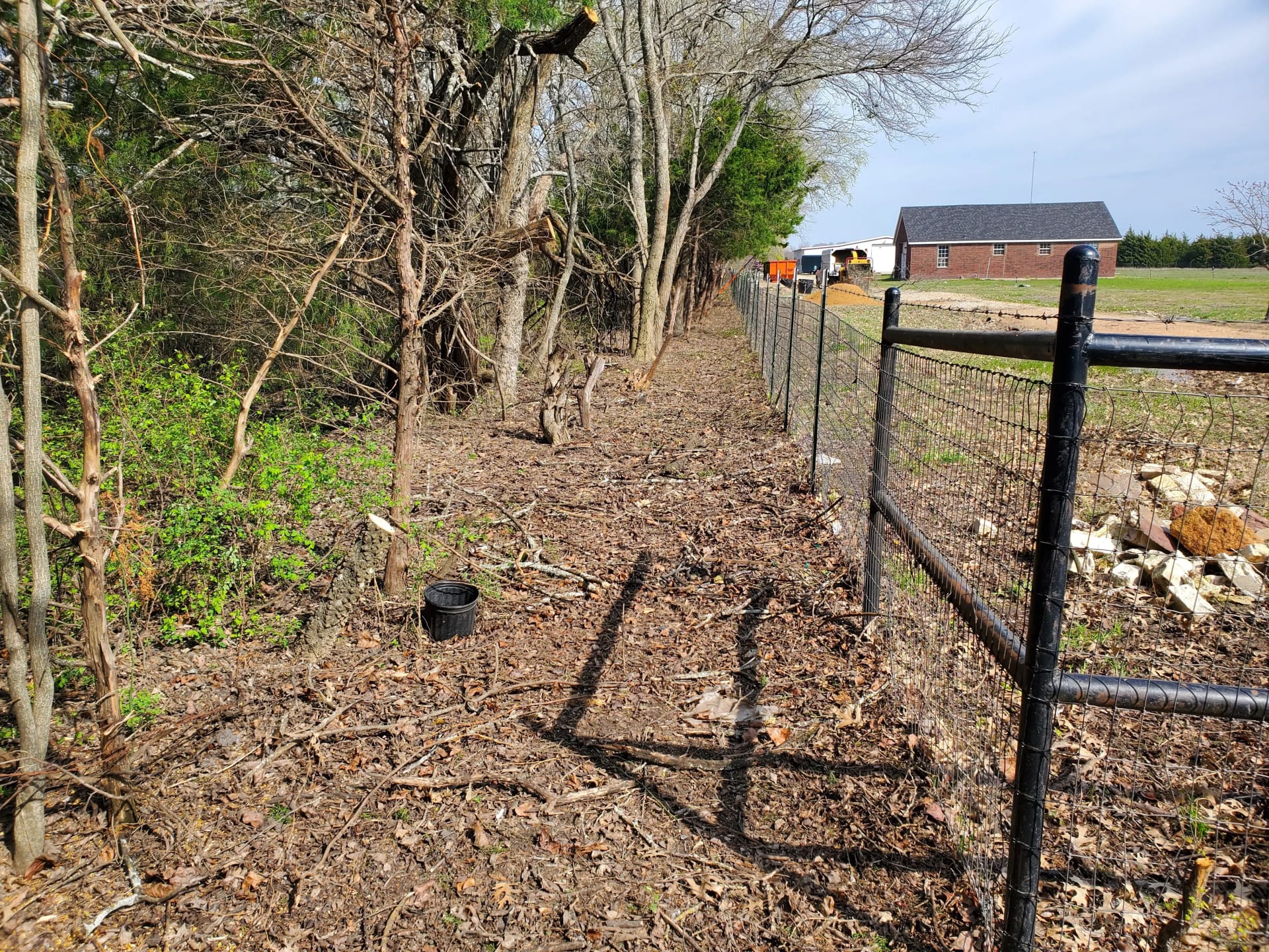 Fence-line clearing along a residential property boundary