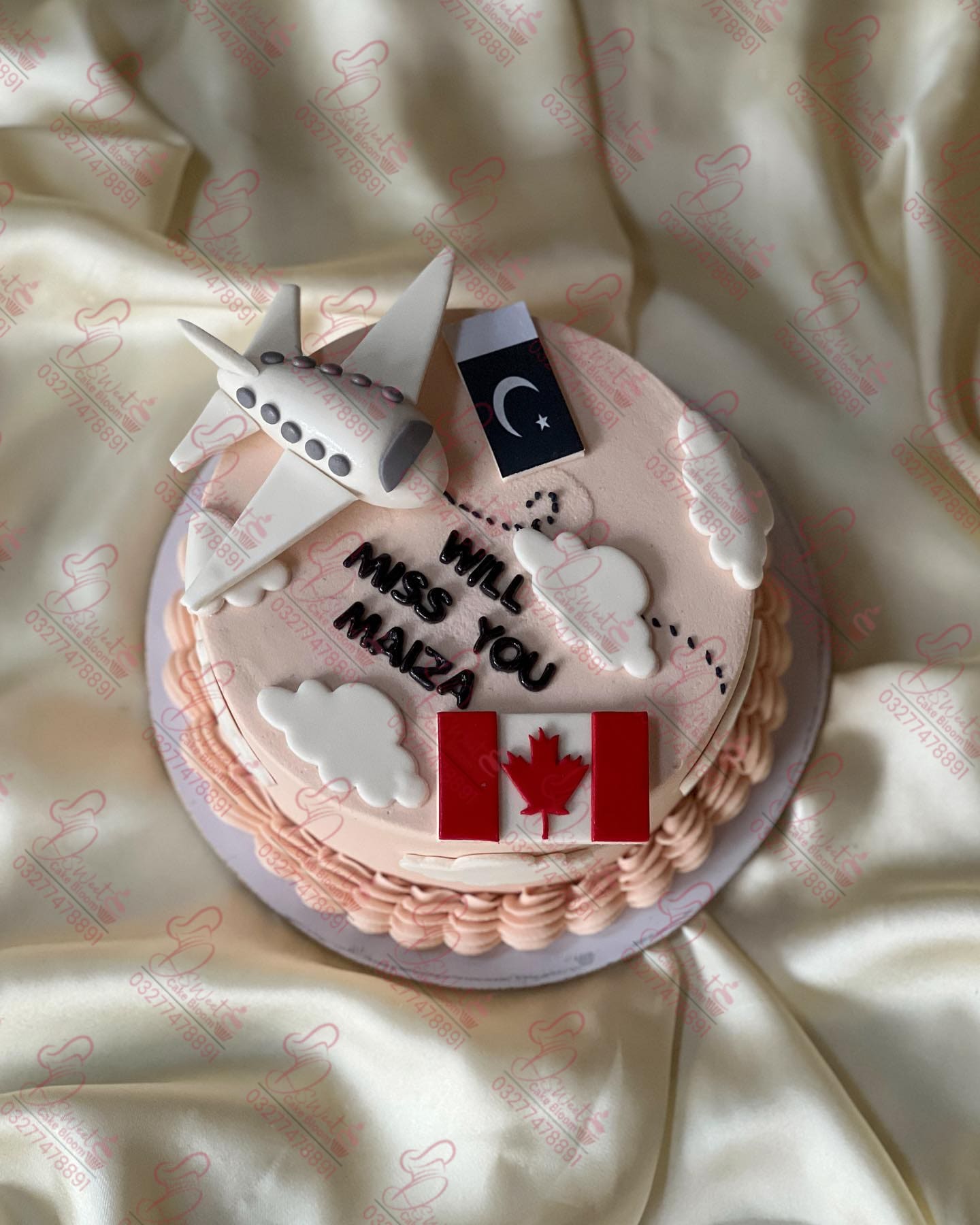 Pak to Canada Travelling Cake Rawalpindi