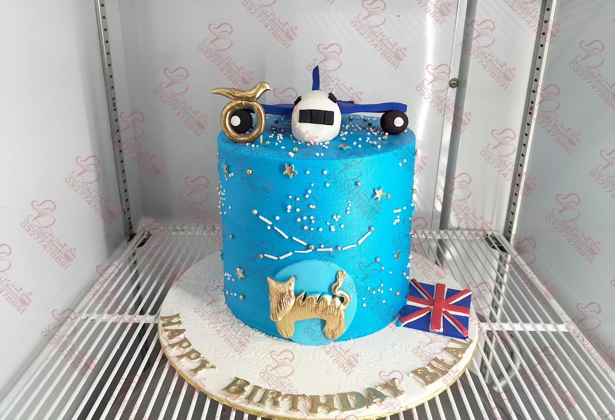 Airplane Taurus Zodiac Theme Cake Rawalpindi