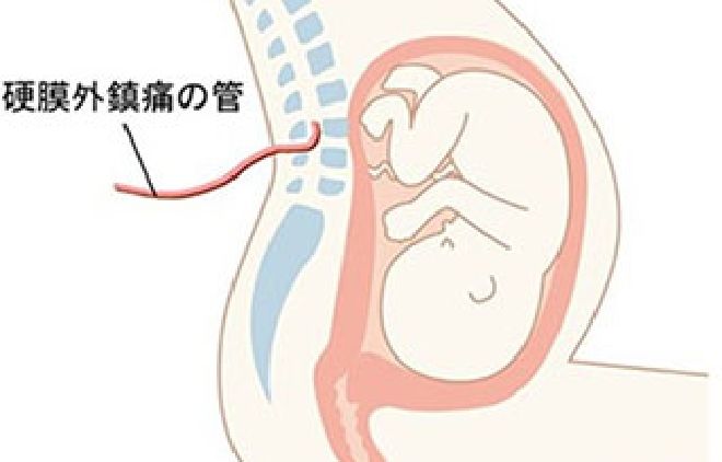 特長1