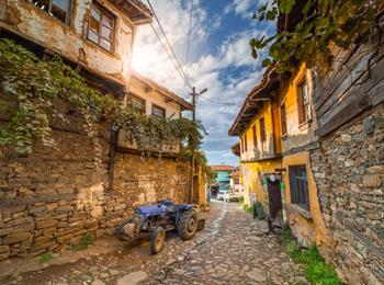 CUMALIKIZIK - MUDANYA - TRİLYE - GÖLYAZI TURU