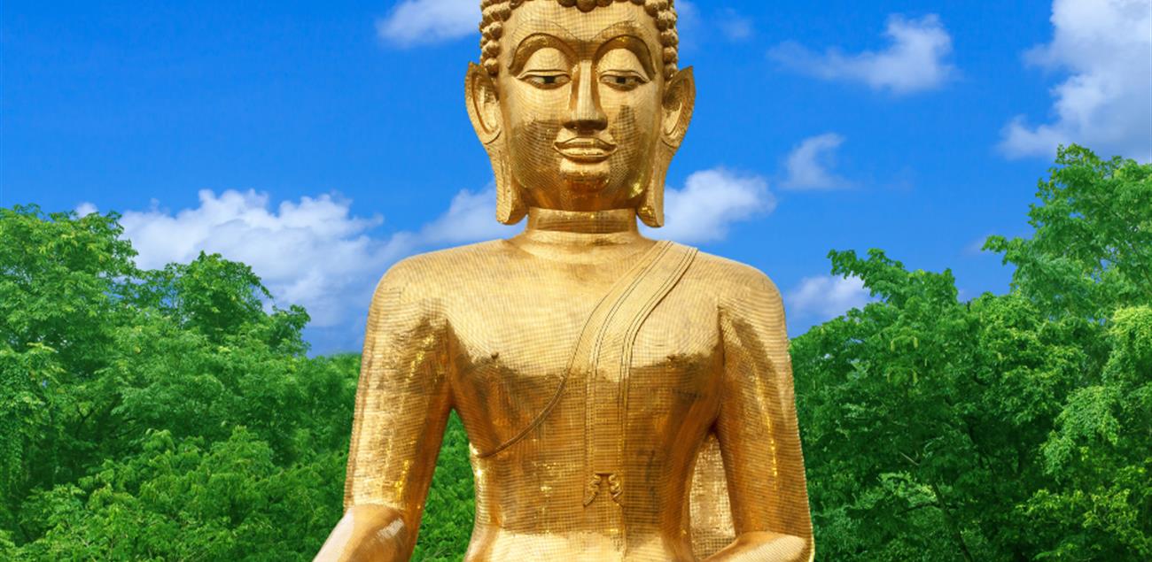 media image