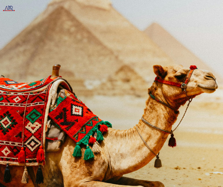  أشياء وأماكن لا تعرفها في مصر