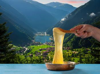 DOĞU KARADENİZ&BATUM TURU