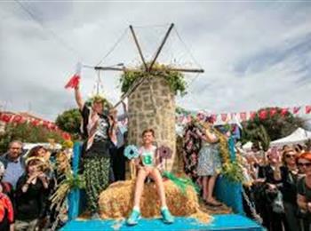 Alaçatı Ot Festivali Turu / Düzce Hareketli