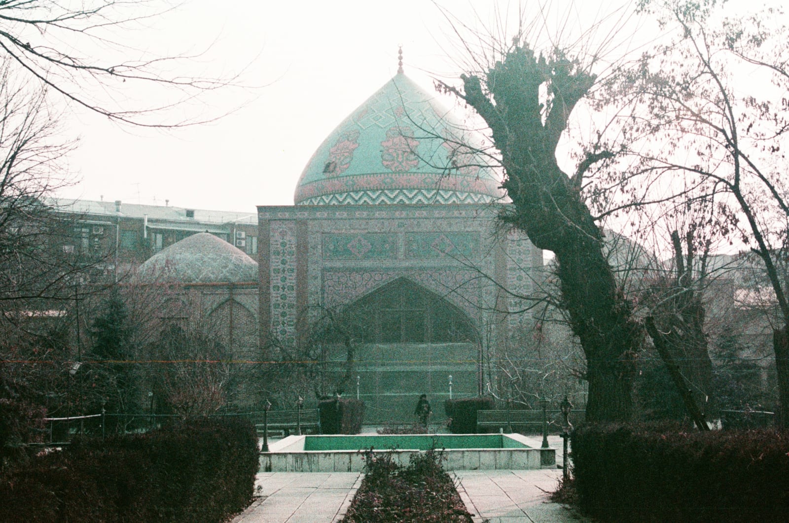 Blue Mosque #1