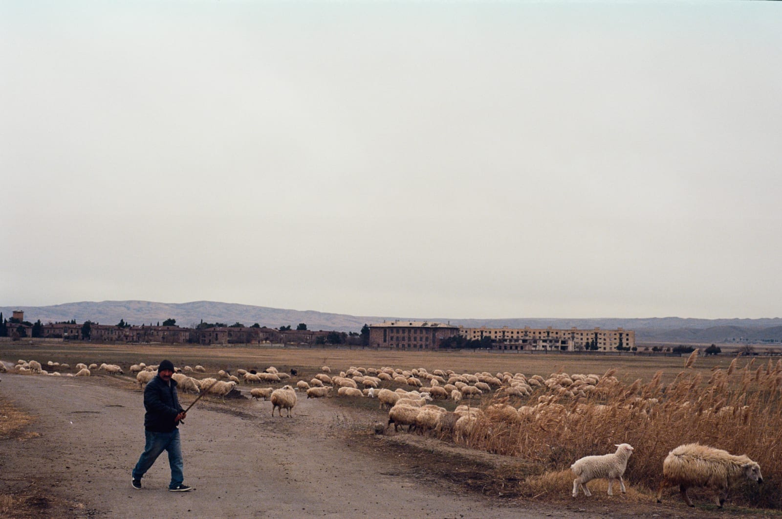 Somewhere after Rustavi on the way to the David Gareja Monastery