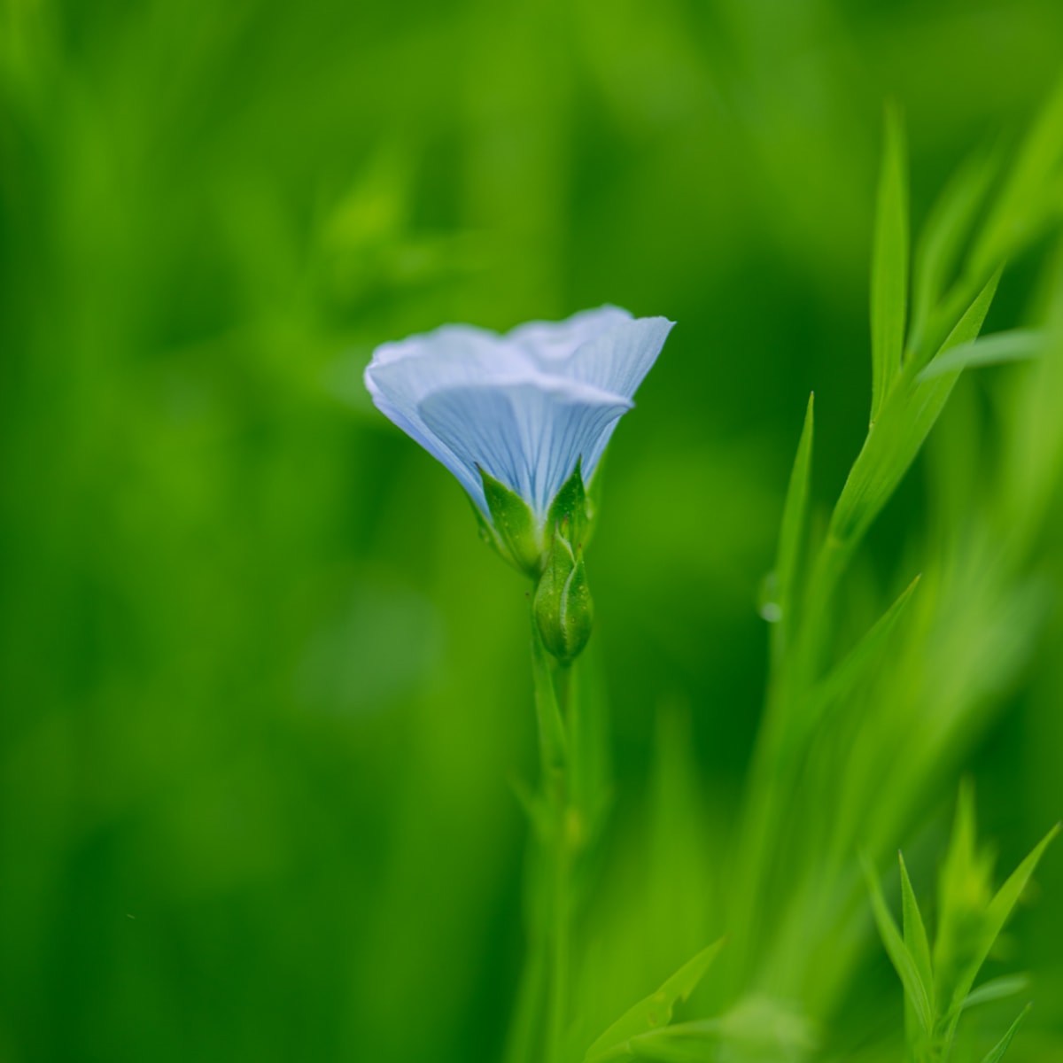 manifesto.engagement.alt.alternative.positive