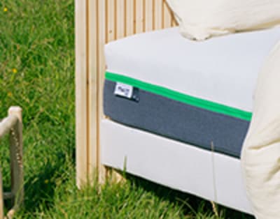 about.album.alt.pola-picture-41