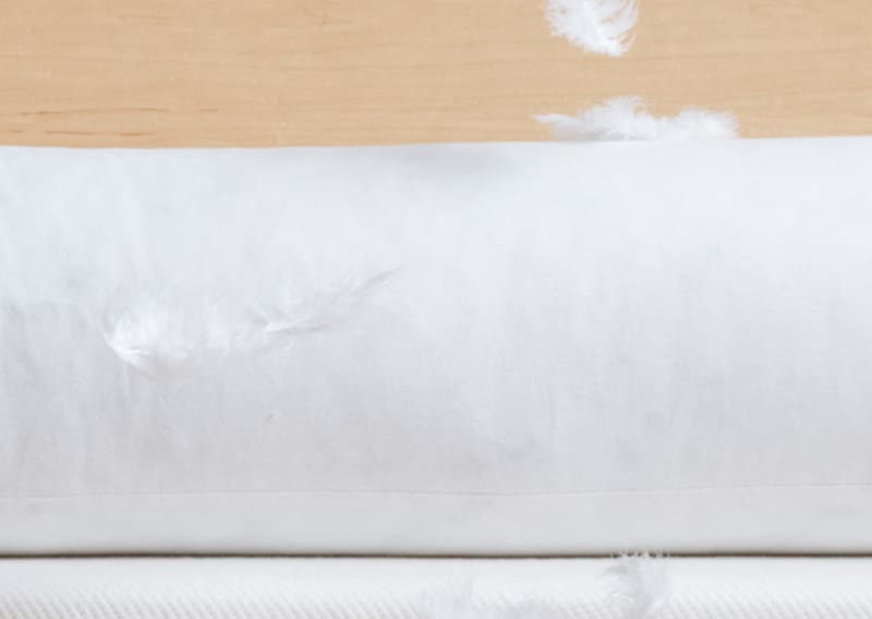 Garnissage hypoallergénique fu polochon