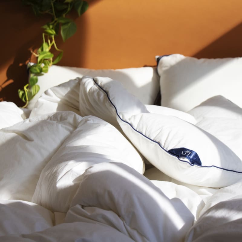 Chez nous, vous en aurez pour votre argent