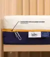 default_slide_6
