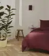 default_slide_4