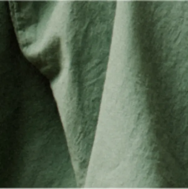 Vert Sauge