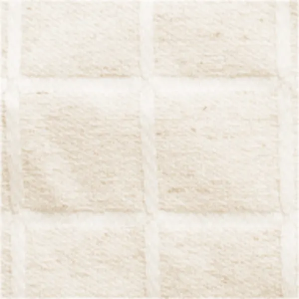 Tissu Iconique