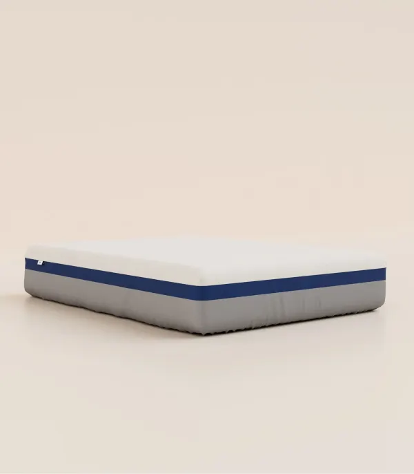 Protège Matelas Grand Ours
