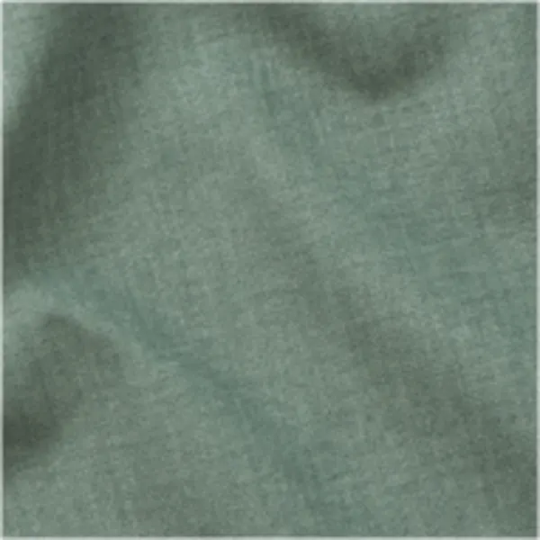 Tissu Vert sauge