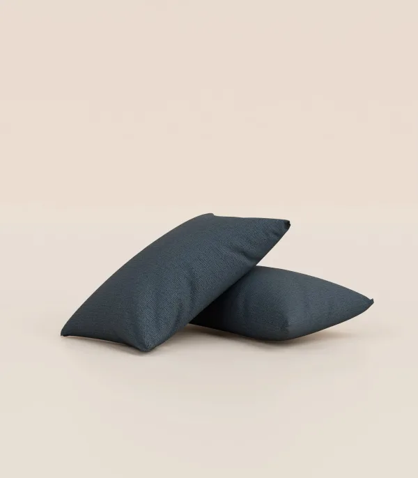 Lot de 2 coussins