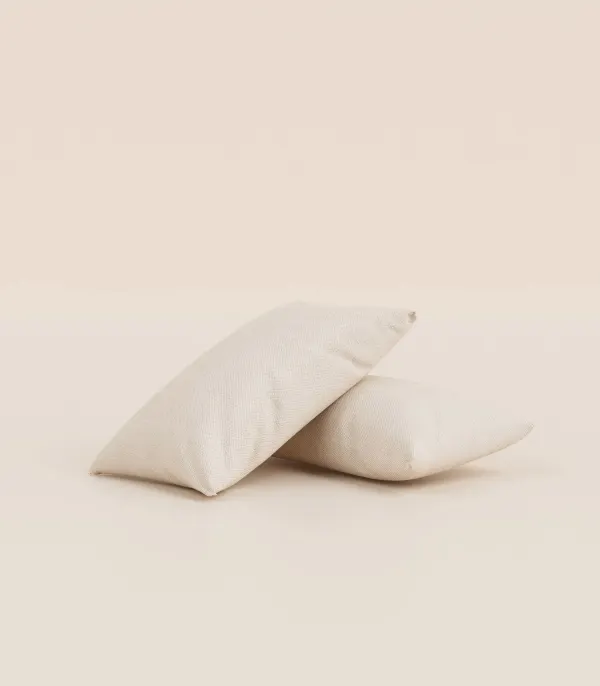 Lot de 2 coussins