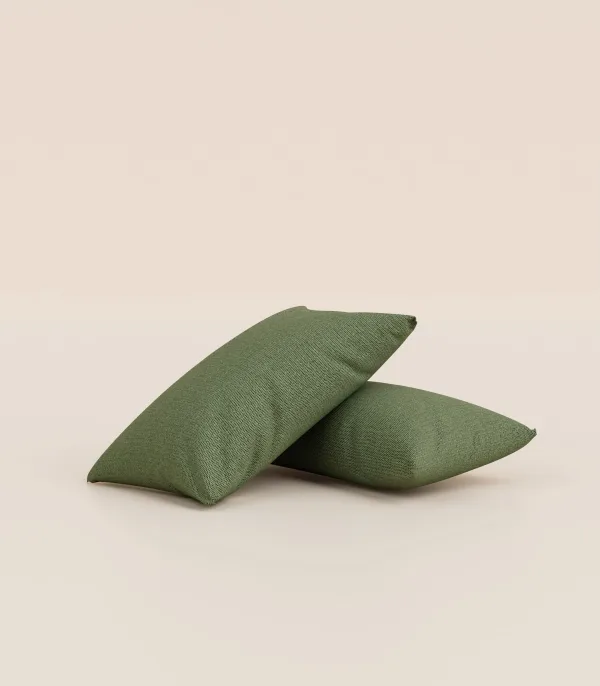 Lot de 2 coussins