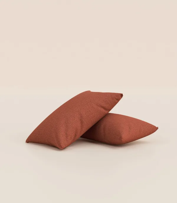Lot de 2 coussins