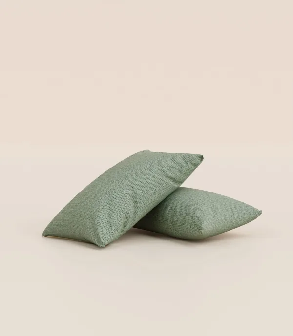 Lot de 2 coussins