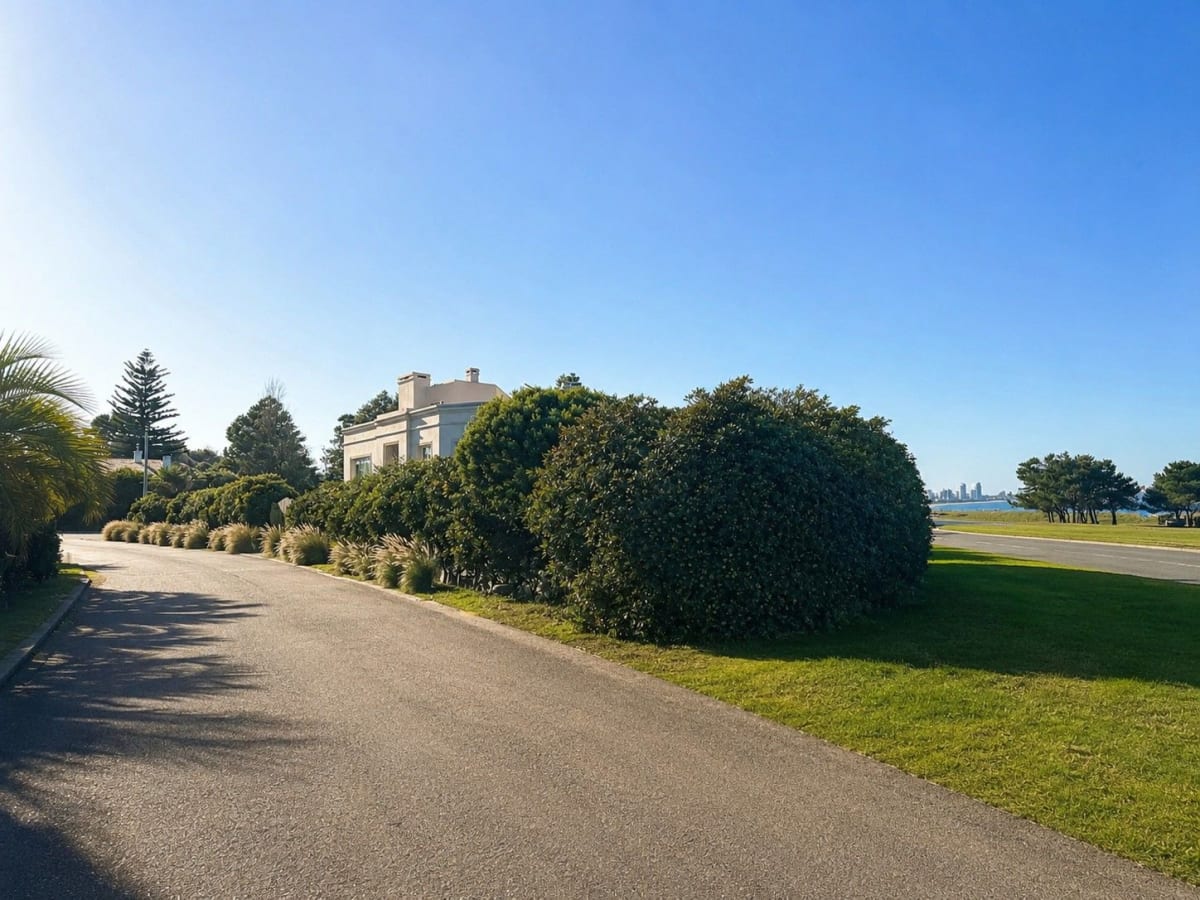Pinares Punta del Este