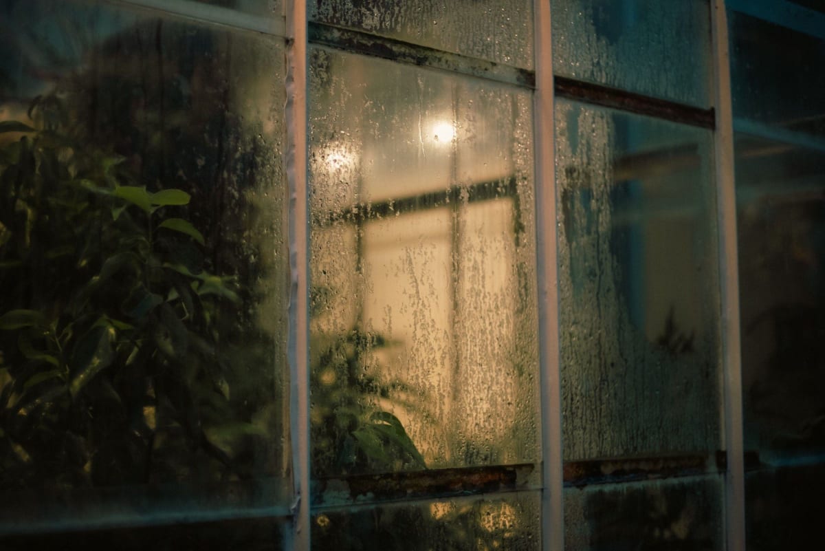 Condensation on the windows of a humid coastal home in Uruguay, illustrating common moisture problems expats should check before buying property.