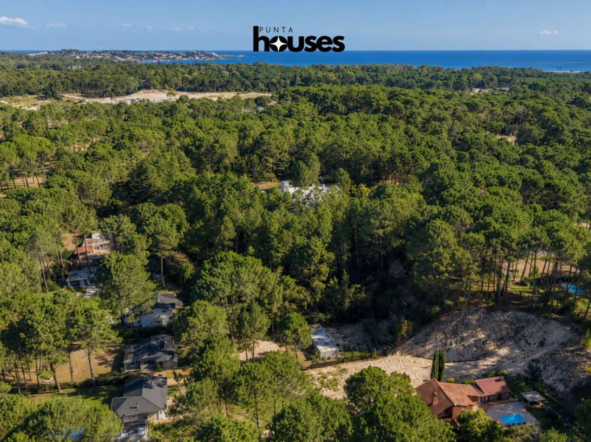 Wide aerial view of Club del Lago woodland with the Atlantic coast in the distance
