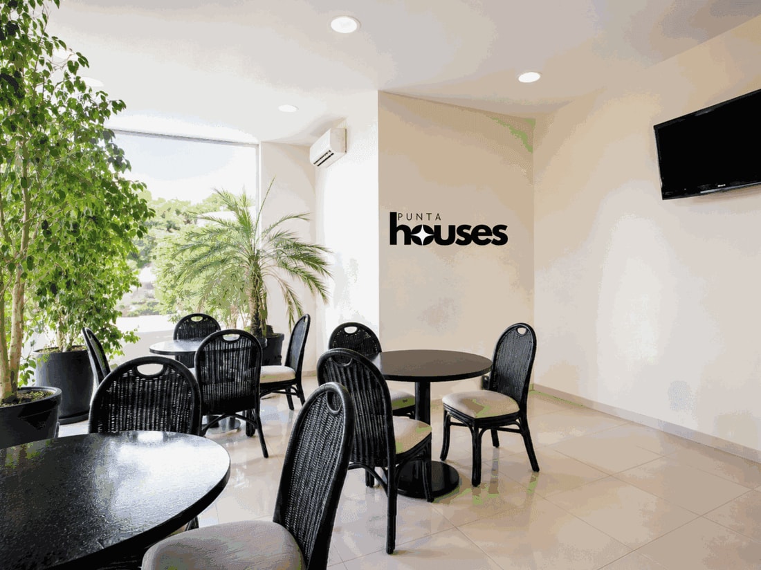 Bright common lounge area with tables, chairs and indoor plants