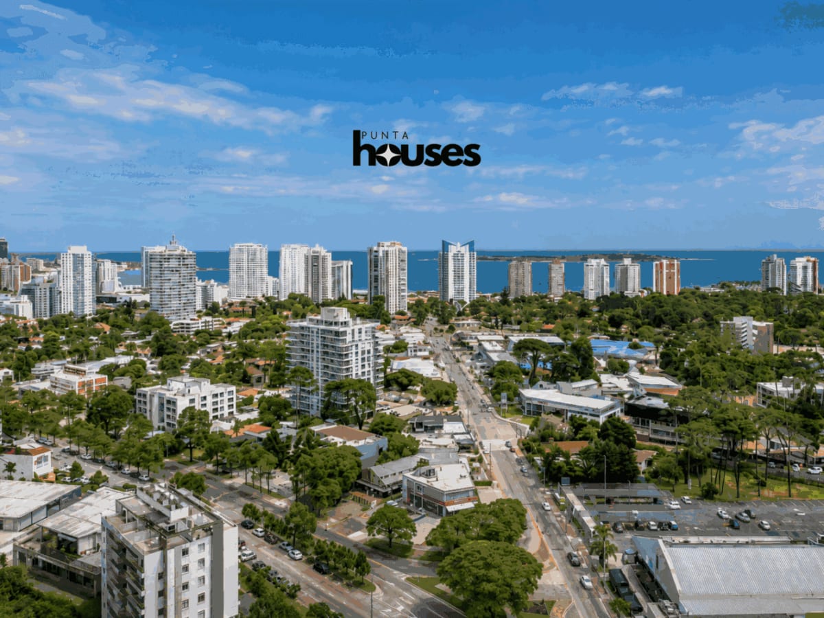 Panoramic view of Punta del Este skyline, Roosevelt neighborhood and Playa Mansa from Gala Vista apartment.