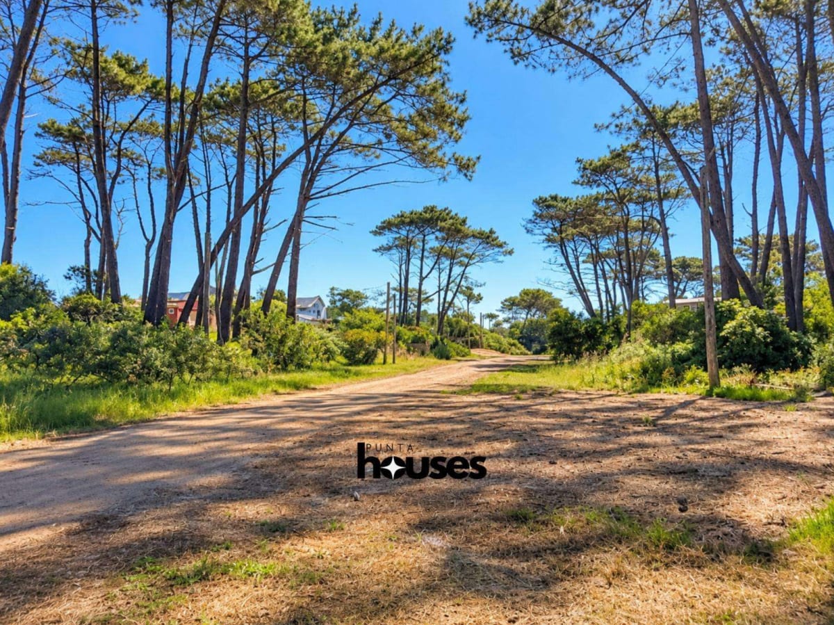 terreno-ocean-park-camino-arbolado.jpg