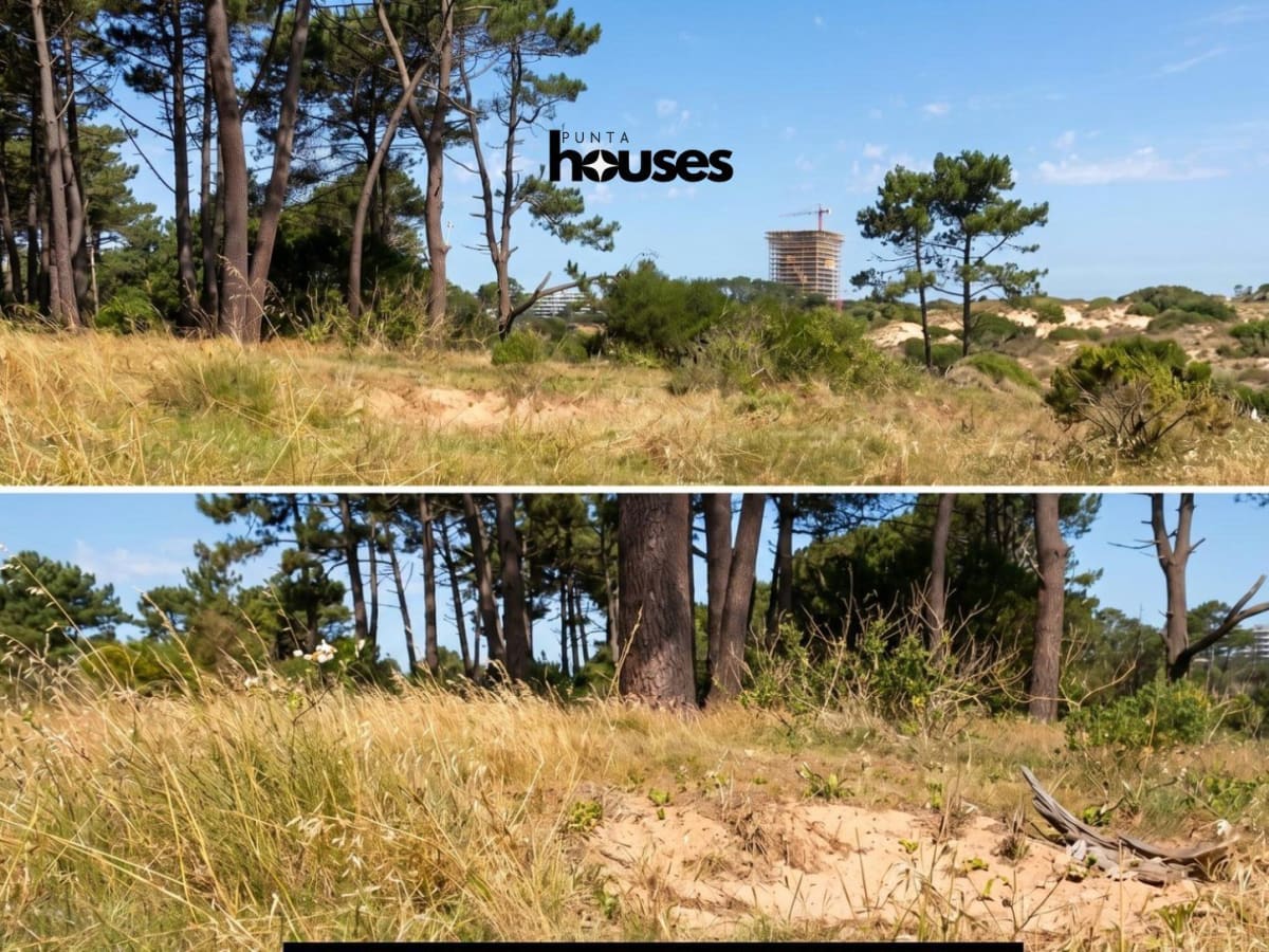 rincon-del-indio-coastal-plot-natural-surroundings.jpg