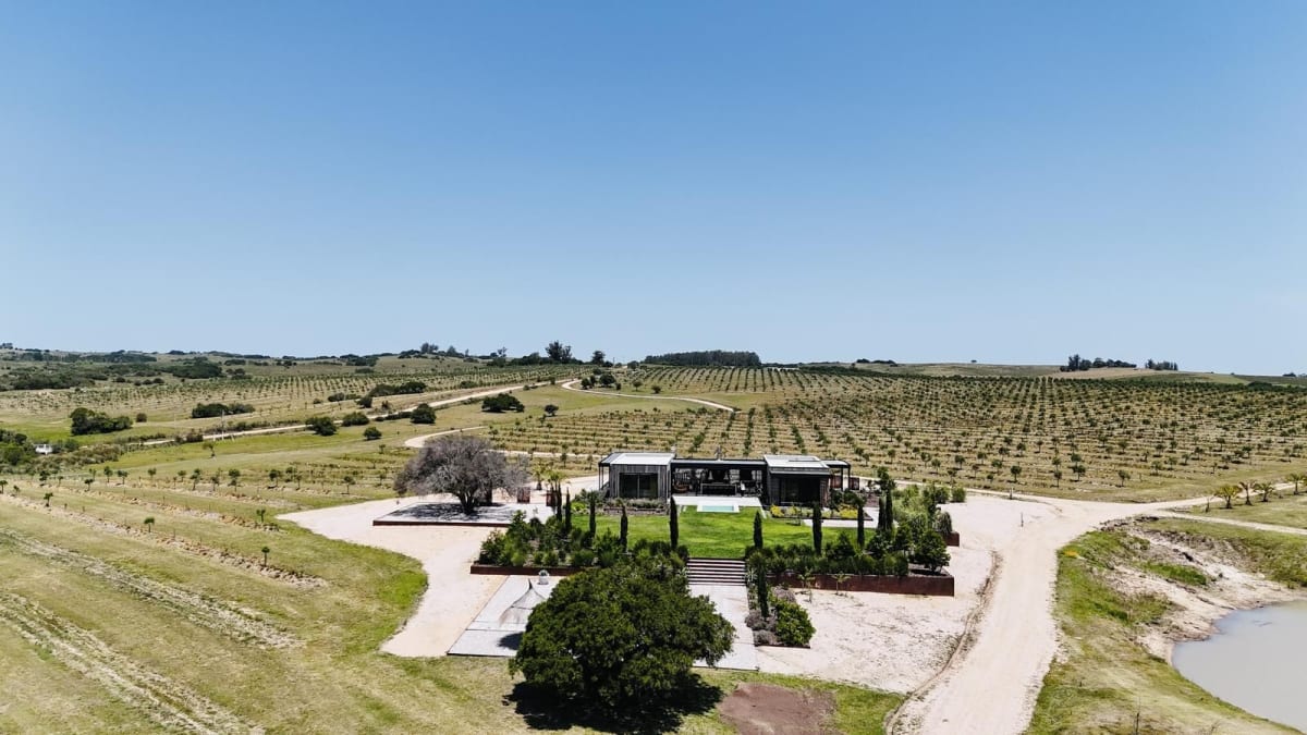 olive-estate-2.jpg