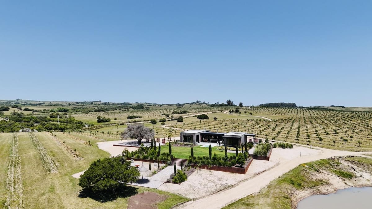 olive-estate-3.jpg