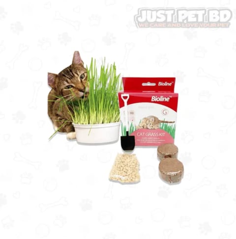 Bioline Cat Grass Kit 12gm 1
