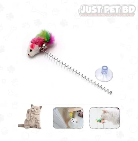 Spring Toy For Cat Mouse Feather Toy Cat Playing Crazy 2