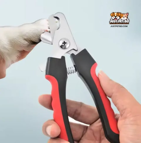 Professional Stainless Steel Pet Nail Clipper – Cat & Dog Claw Trimmer Scissors | Grooming & Cleaning Tool 1