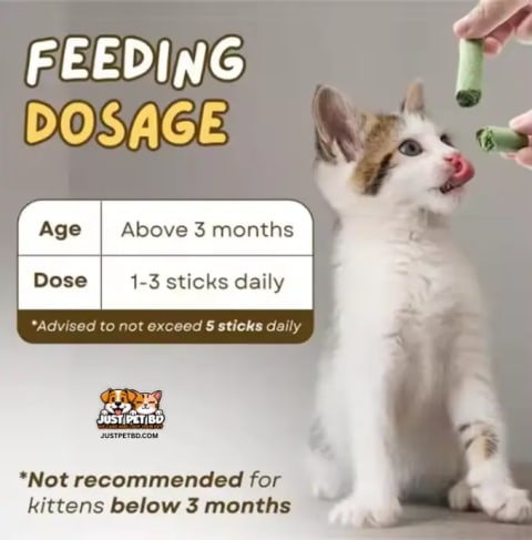Cat Grass Teething Stick 6pcs Set with Chicken Flavor for Cats – 30g | Healthy Treat for Dental Care & Digestion 3