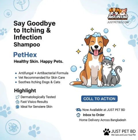 PetHex Antifungal & Antibacterial Pet Shampoo – 200ml 2