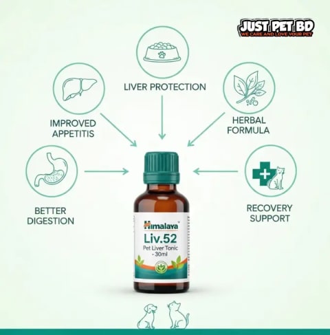 Himalaya Liv.52 Liquid – Liver Support for Dogs & Cats (30ml) 1