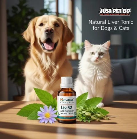 Himalaya Liv.52 Liquid – Liver Support for Dogs & Cats (30ml) 2