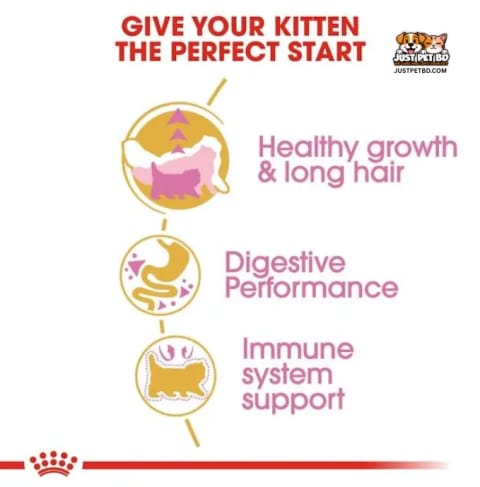 Royal Canin Persian Kitten Food 2kg | Dry Cat Food for Persian Kittens | Supports Growth, Coat & Immunity 2