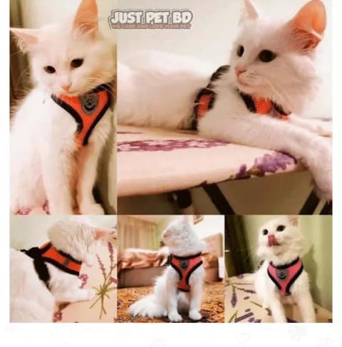 Cat Jacket Harness and Leash Set for Puppy & Cat – Adjustable Vest Harness