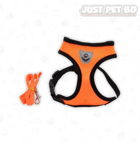 Cat Jacket Harness and Leash Set for Puppy & Cat – Adjustable Vest Harness